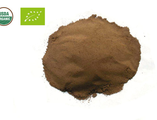 Organic Ginkgo Leaf Powder