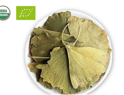 Organic Ginkgo Leaf Extract Powder