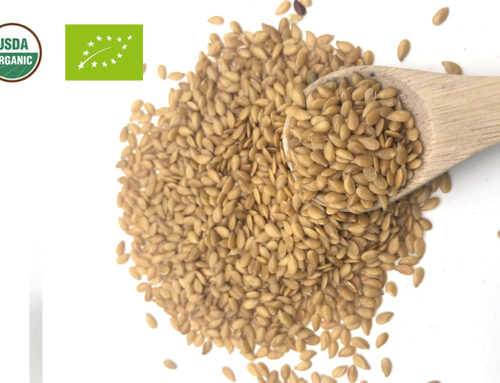 Organic Golden Flax Seeds