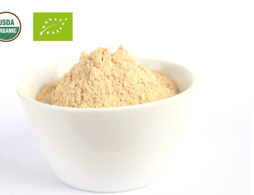 Organic Onion Powder