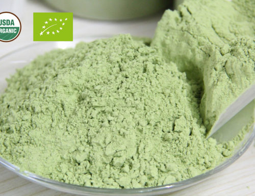 Organic Broccoli powder