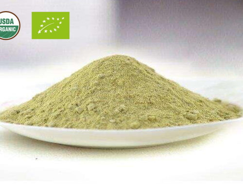 Organic Kale Powder