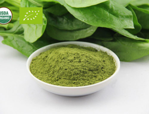 Organic Spinach Powder