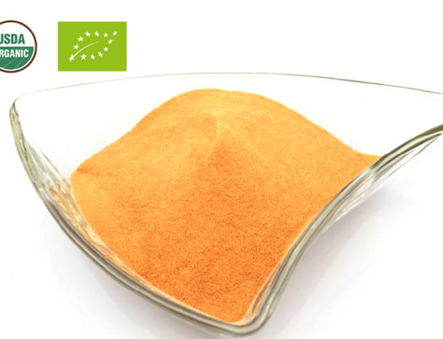 Organic Carrot Powder