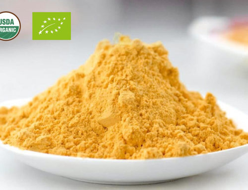 Organic Pumpkin Powder