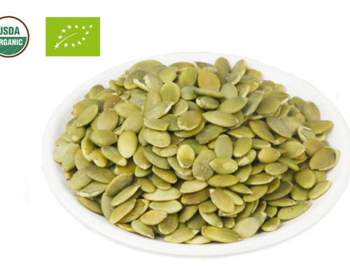 Organic Pumpkin Seed Kernels