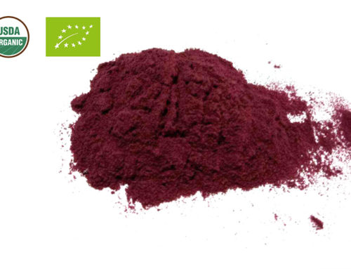 Organic Mulberry Juice powder