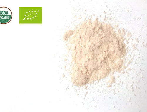 Organic Apple Juice Powder