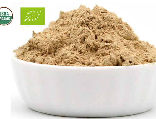 Organic Shiitake Mushroom powder