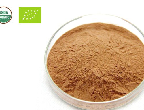 Organic Hawthorn Berry Powder