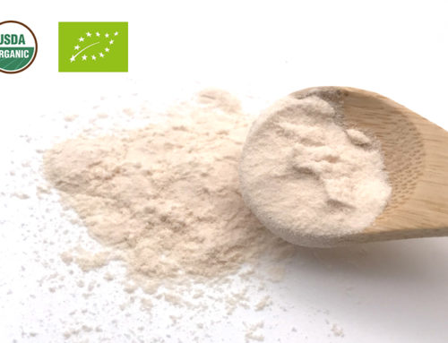 Organic Kiwi Juice Powder