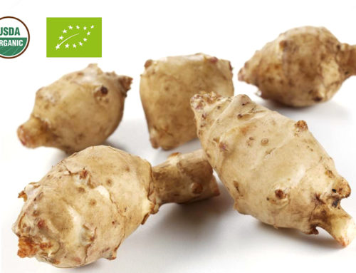 Organic Inulin Powder