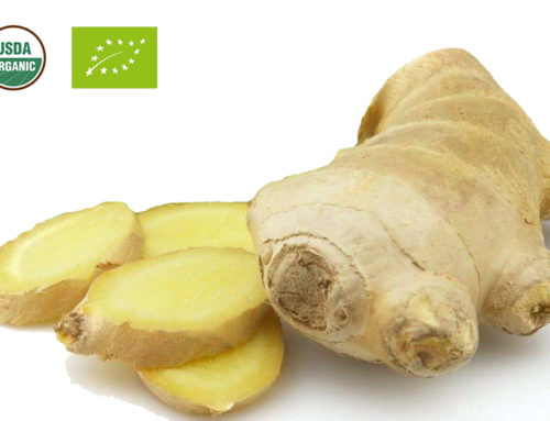 Organic Ginger Extract