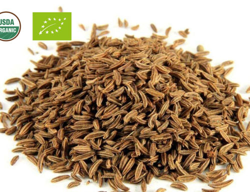 Organic Cumin