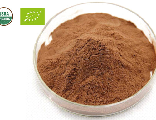 Organic Dandelion Root Powder