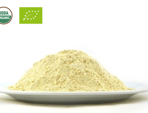 Organic Astragalus Powder